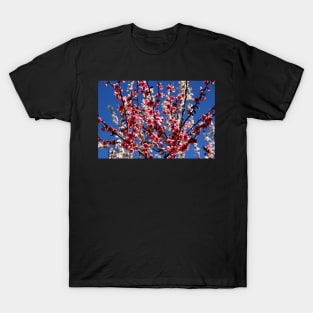 Spring Blossom T-Shirt